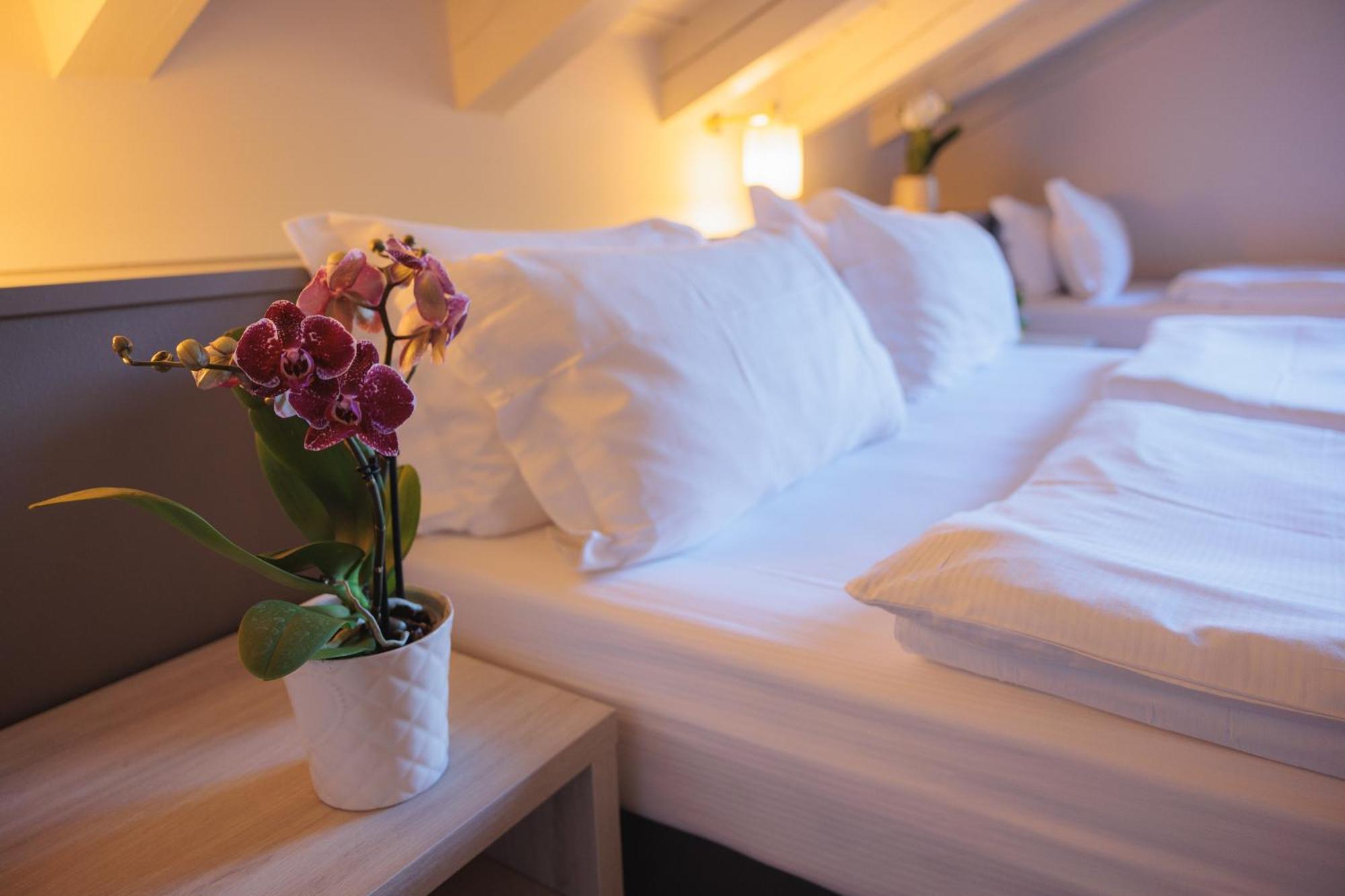 Hotel Binelli Пинцоло Екстериор снимка