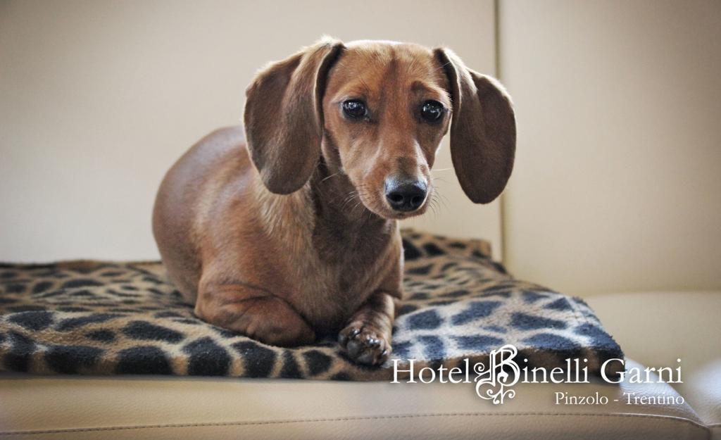 Hotel Binelli Пинцоло Екстериор снимка